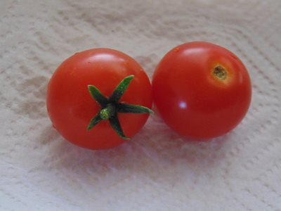First Tomatoes to eat from my Cherry Tomato plant :)