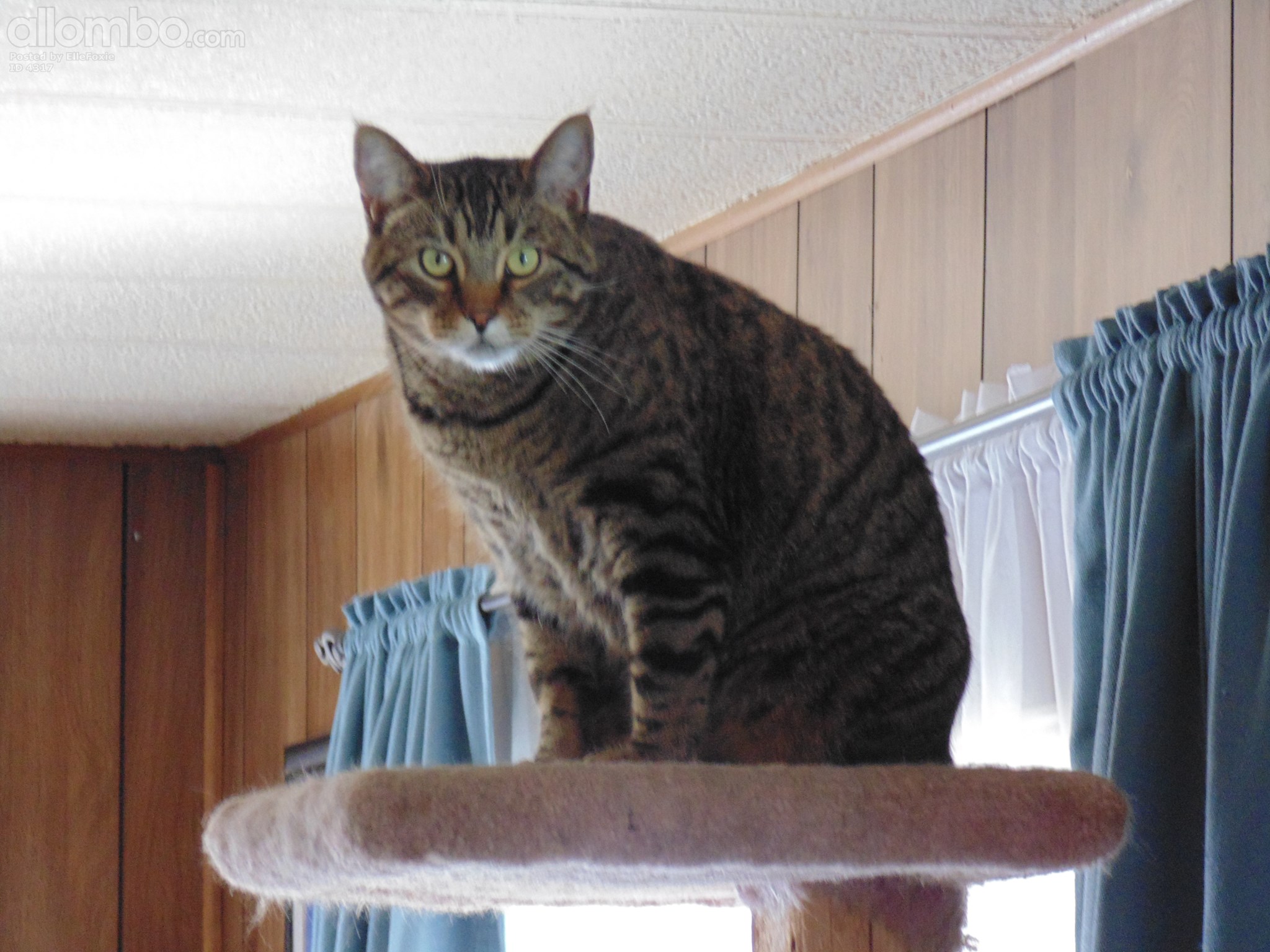 Harvey above everything :)