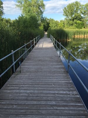 bridge crossing a pond