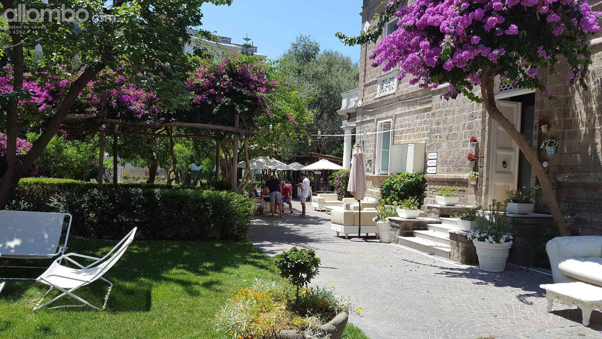 we had lunch in this beautiful garden