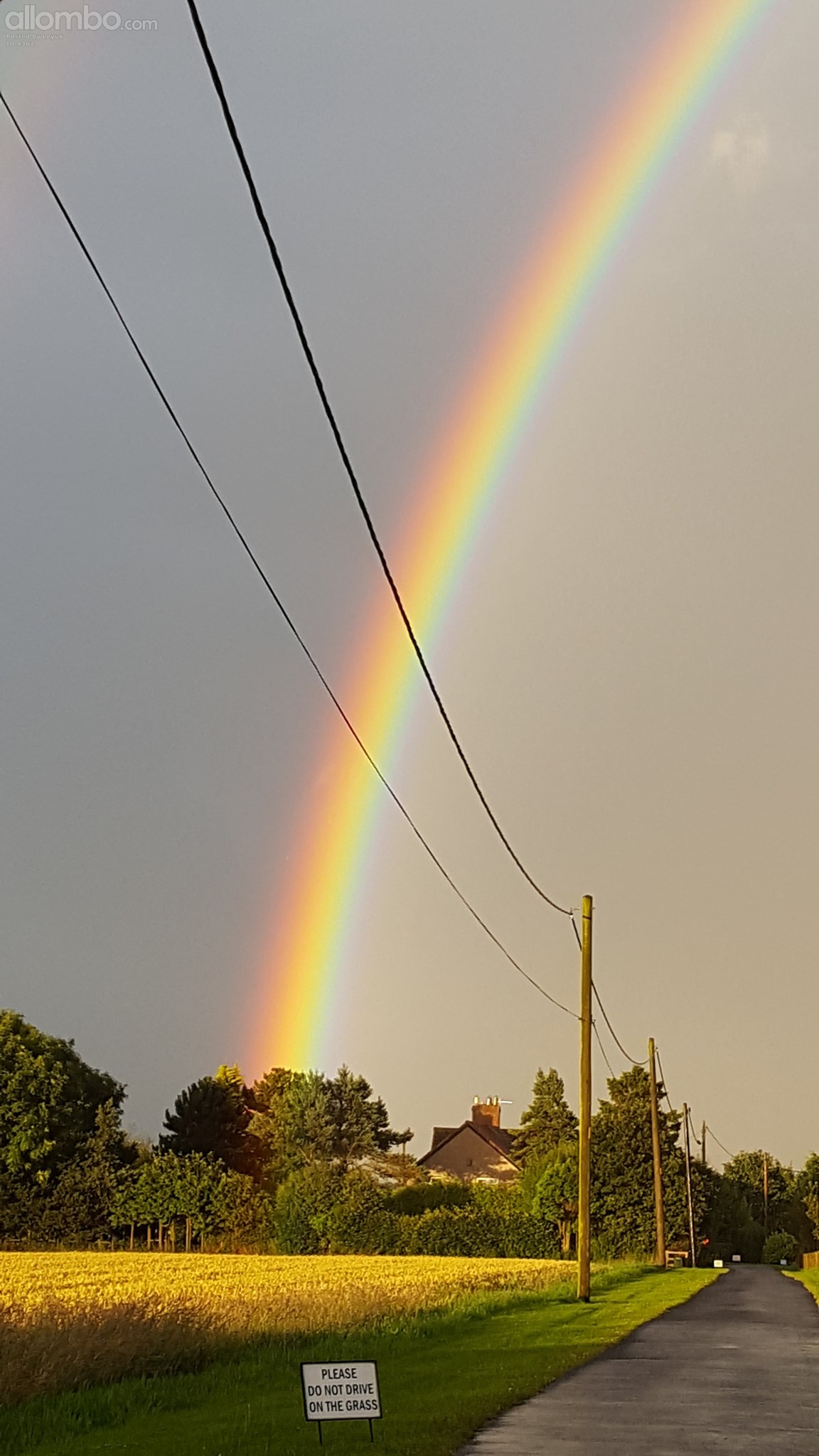 some where over the rainbow