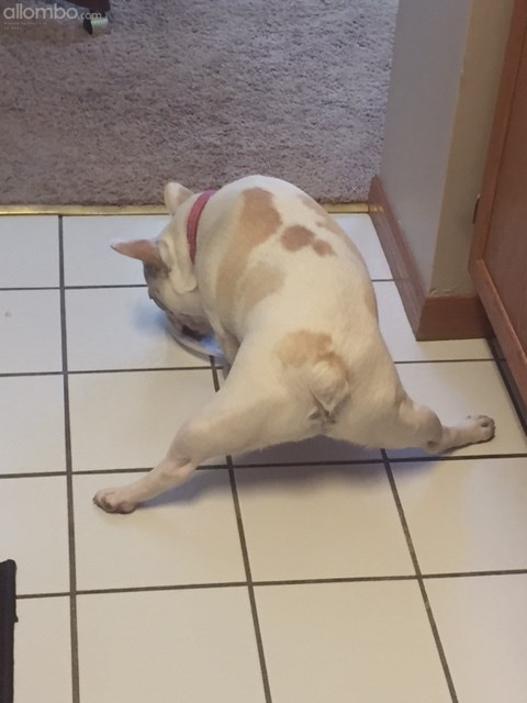 doing the splits while eating!! this pic had us almost in tears laughing...lol