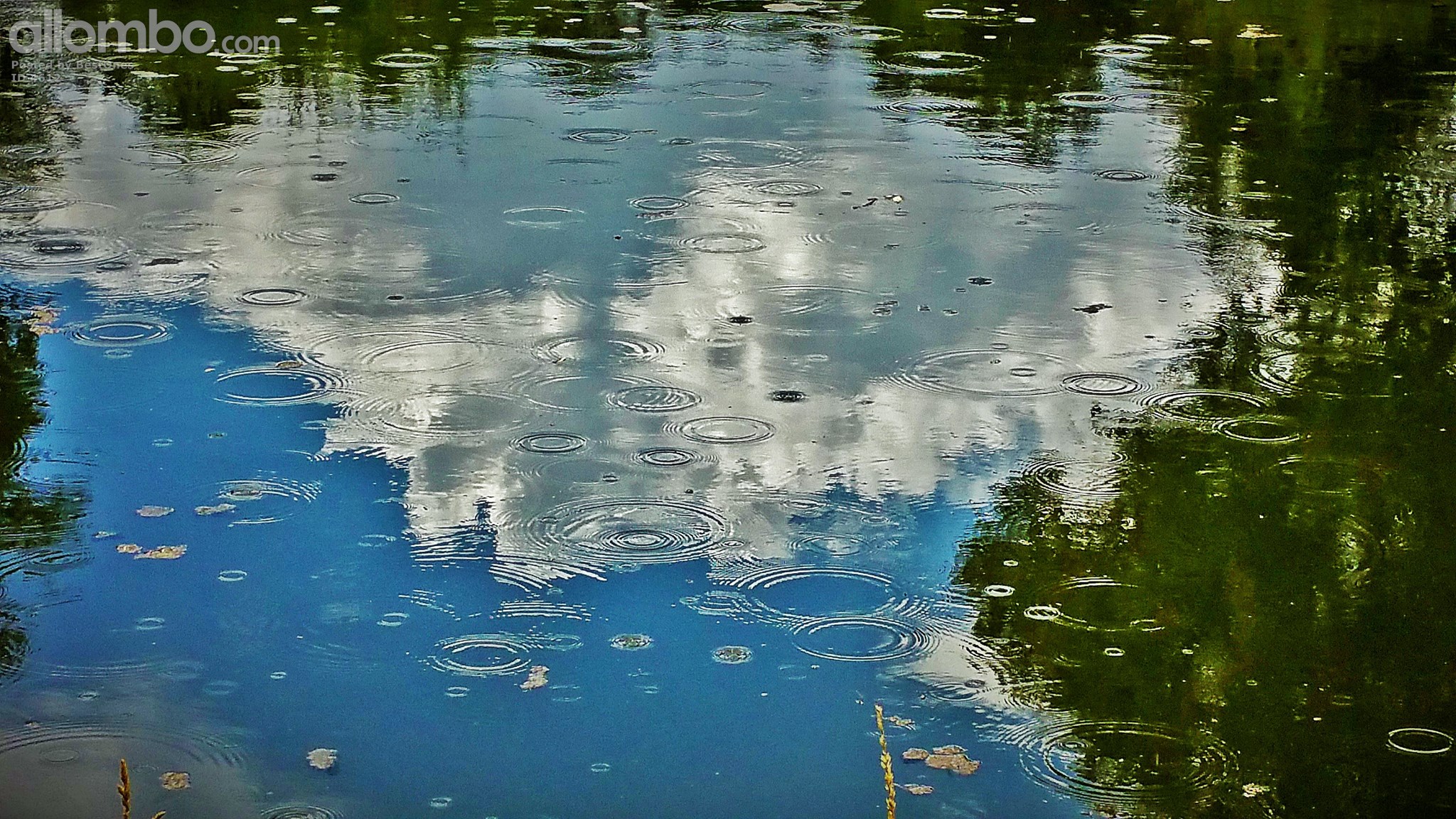 Rain on the Lake, with reflected clouds.