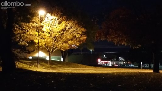 Fall leaves, at NIght.  Near Mpls. , MN.  USA.  Note 4 Camera phone.