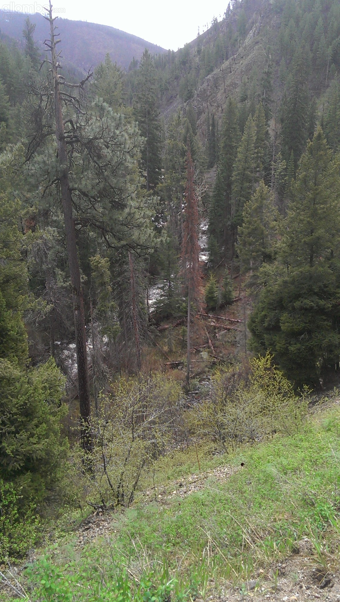 Bitterroot mountains. This area was burning up in 2000