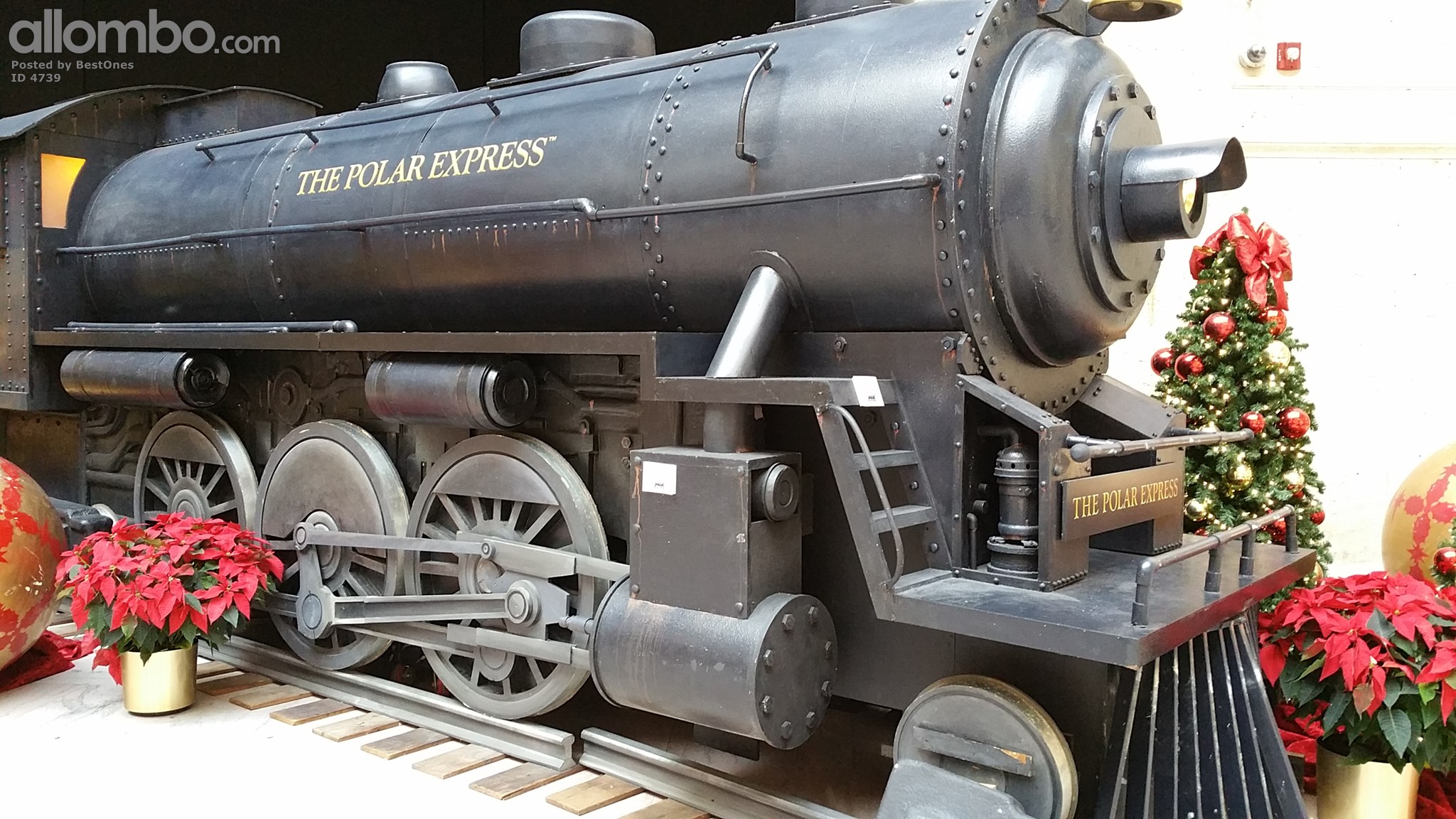 In The Main Hall.  Feel Free to send this to your cell phone; and place a greeting on it.   I was paralyzed with Polio, for a year. And , I like to help my Handicapped brothers and sisters, who can't travel much.  Enjoy.