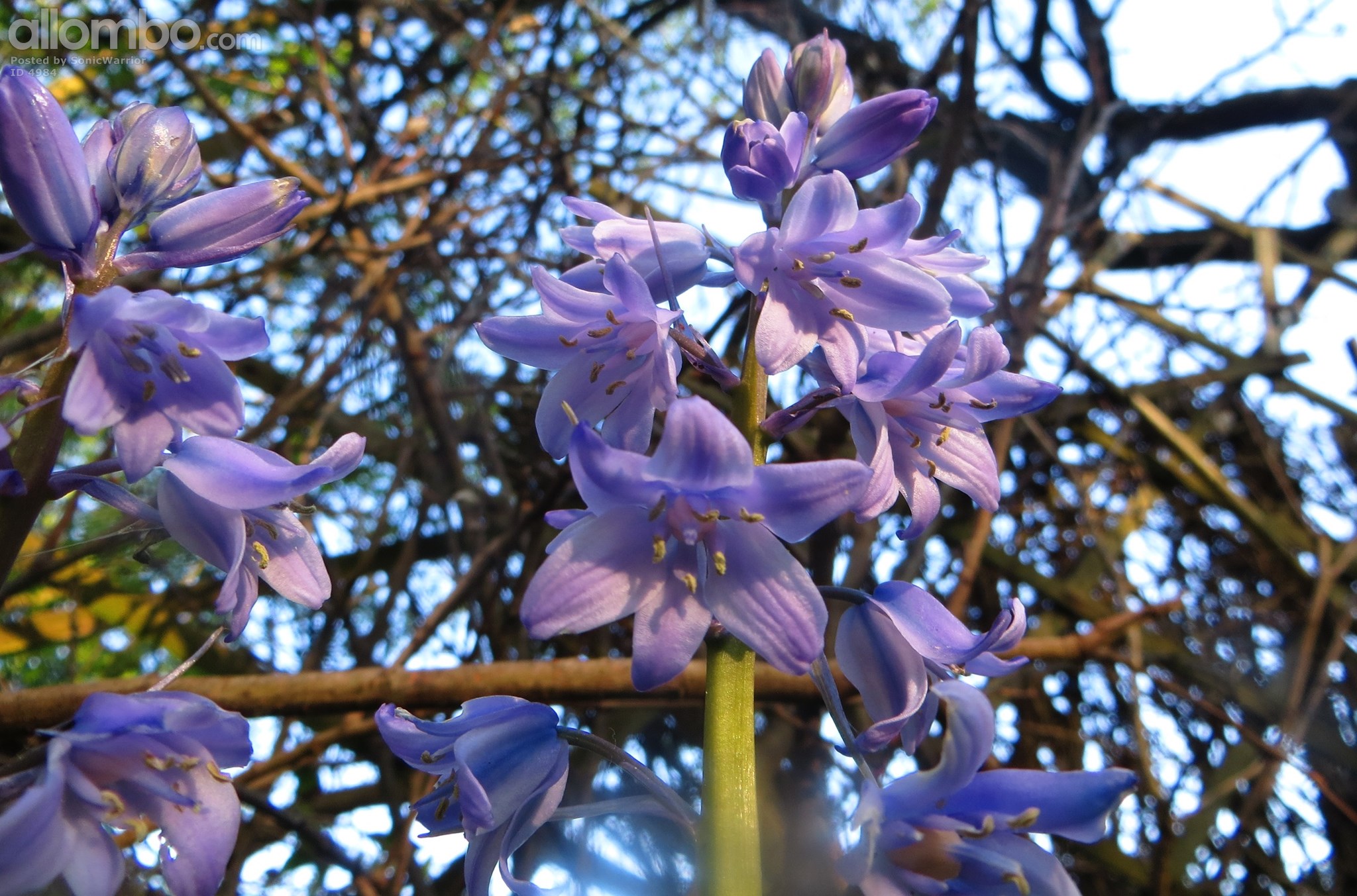 Test upload. Not sure this deserves to make the Front Page, but it might well do, by default!