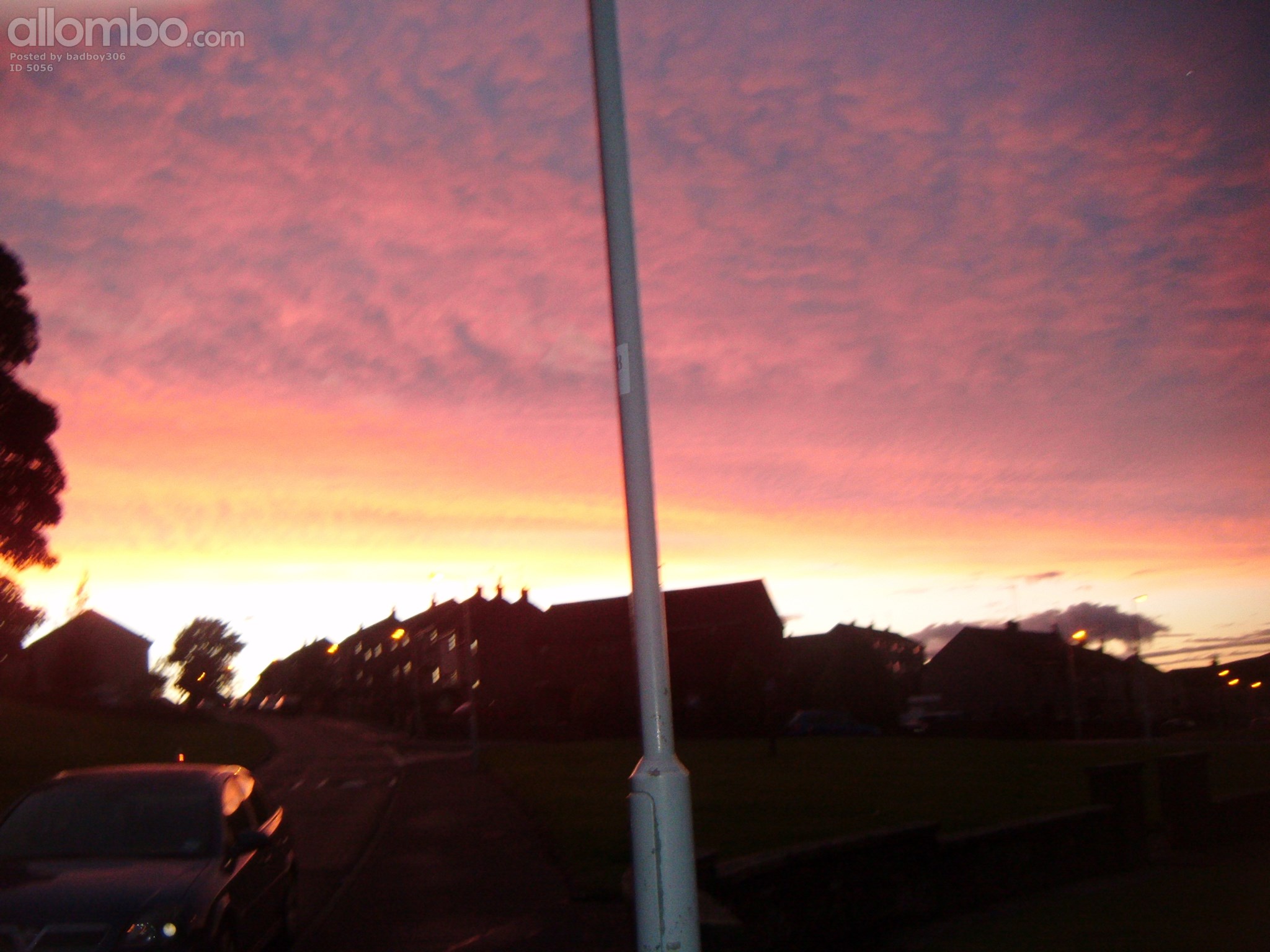 my adobe photoshop art.alb