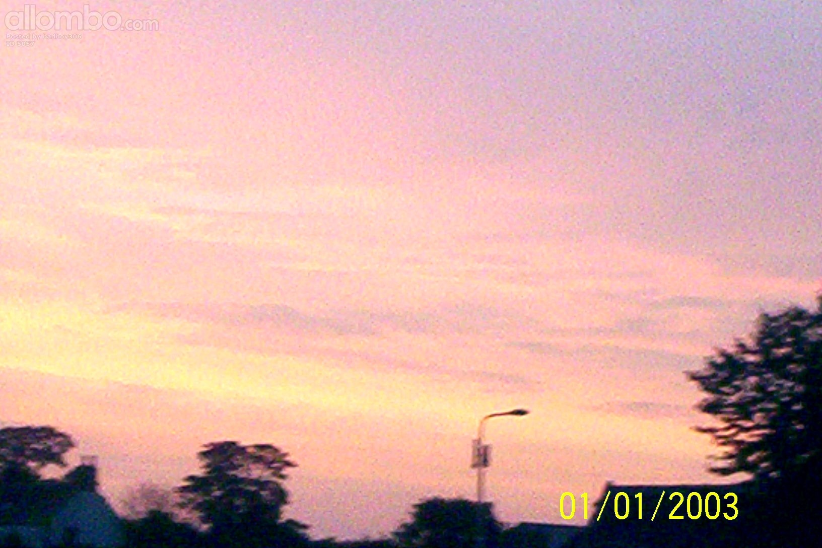 my adobe photoshop art.alb