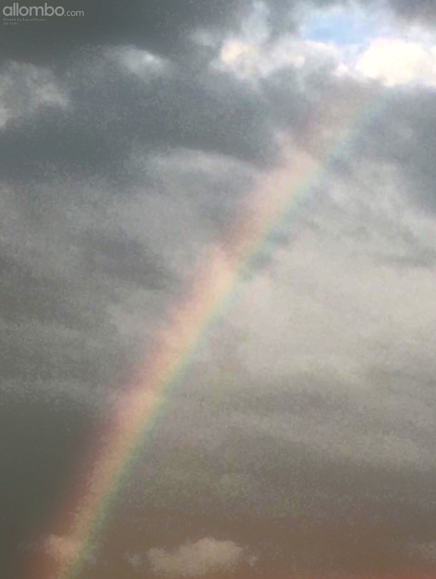 Harvey has clouded the sky, but even in the harshest storm, there is alway beauty.