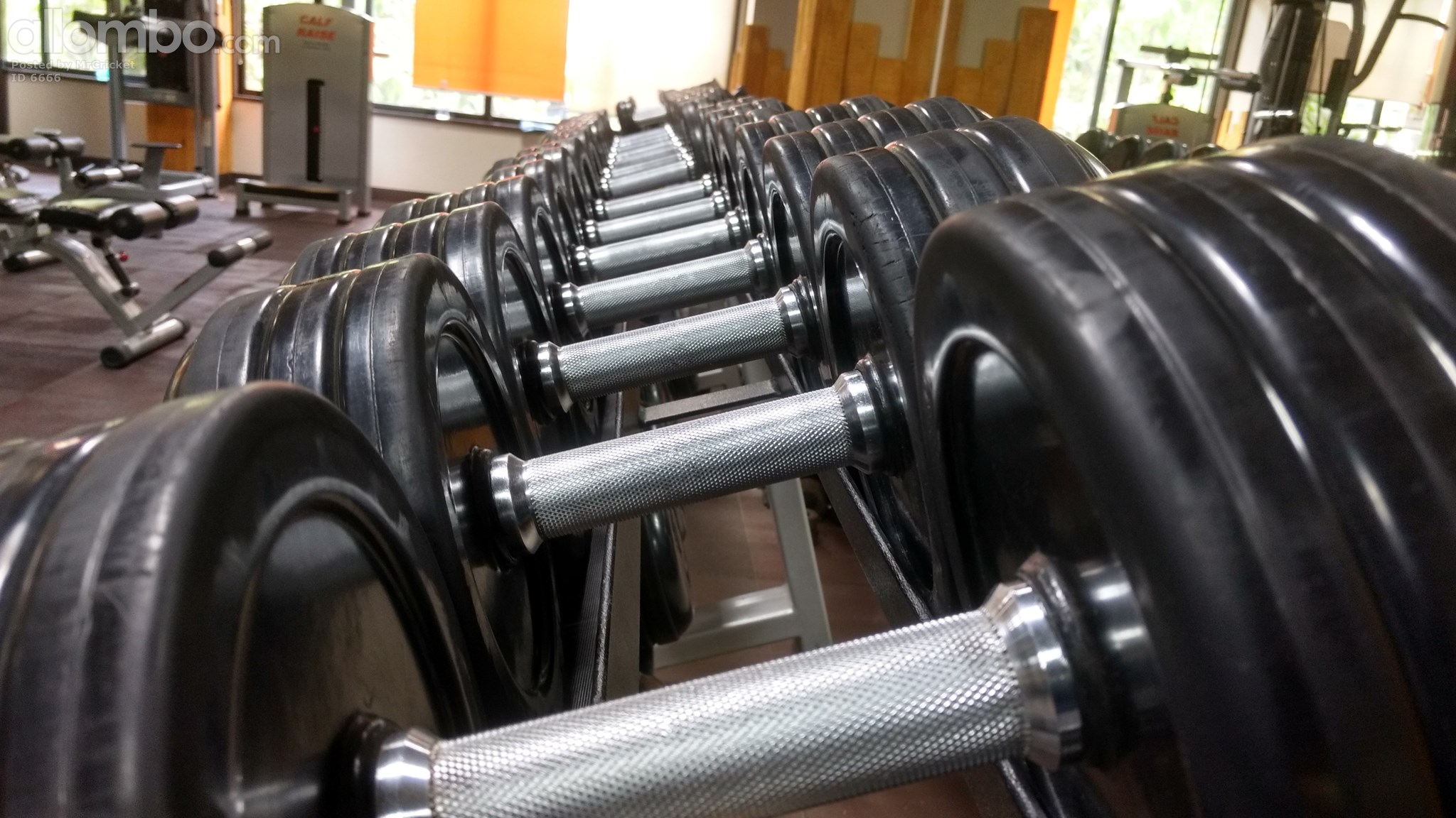 The Journey to fitness is surely not an easy one but the destination is absolutely worth it!