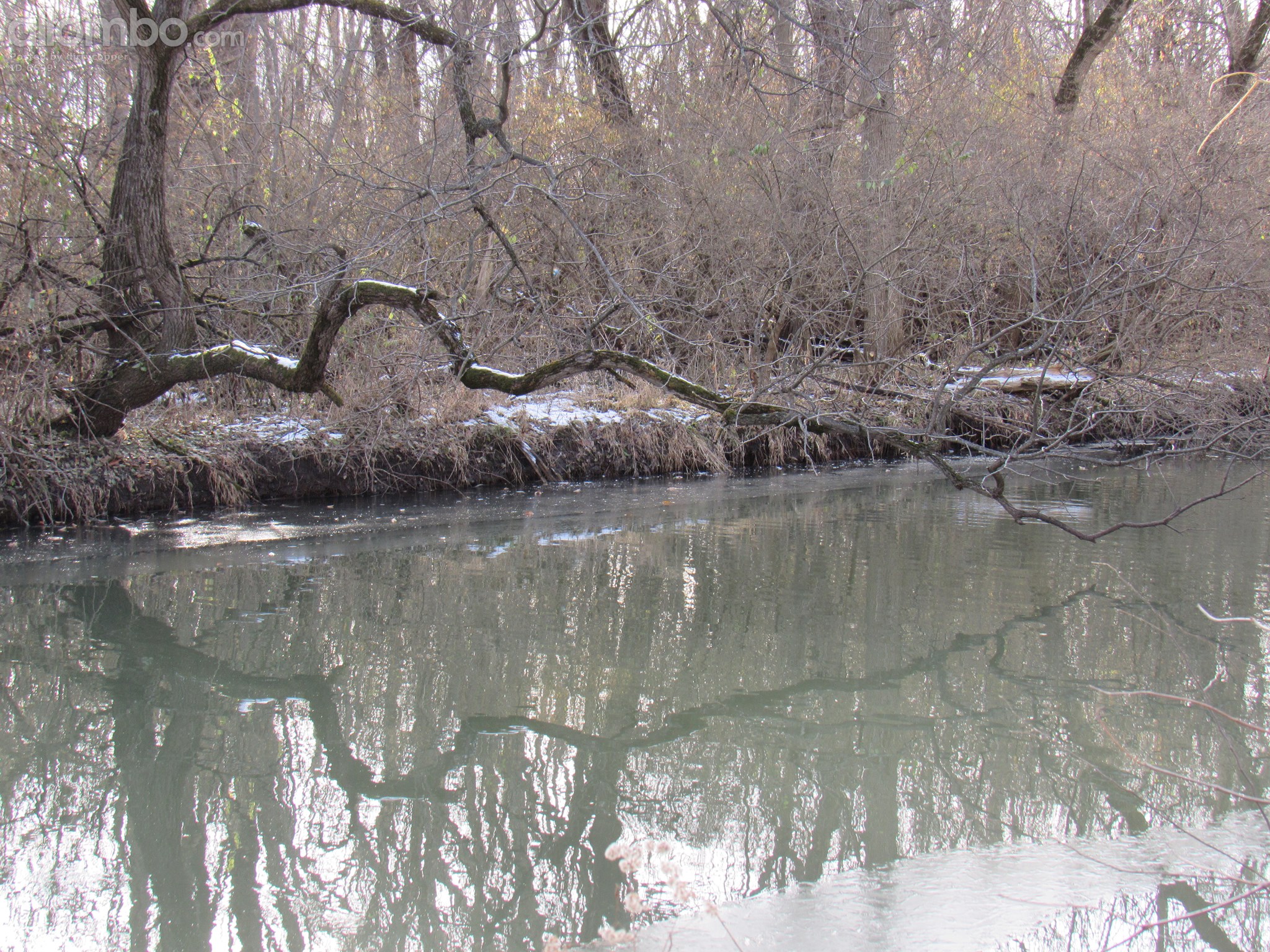 The shape of this branch and the reflection in the water caught my eye while on a walk in a local nature preserve.