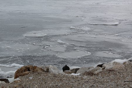 Ice forming on the lake