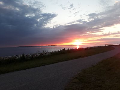 Mutt walking with a friend and her doggo, looking at sunset towards Denmark