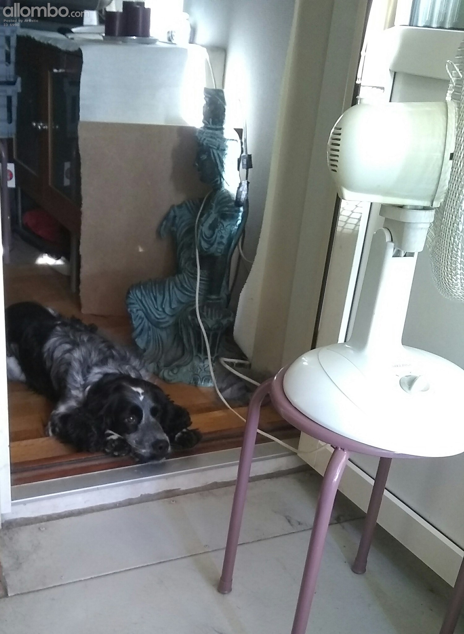 Hes sulking cos Im testing phone, not throwing his teddy