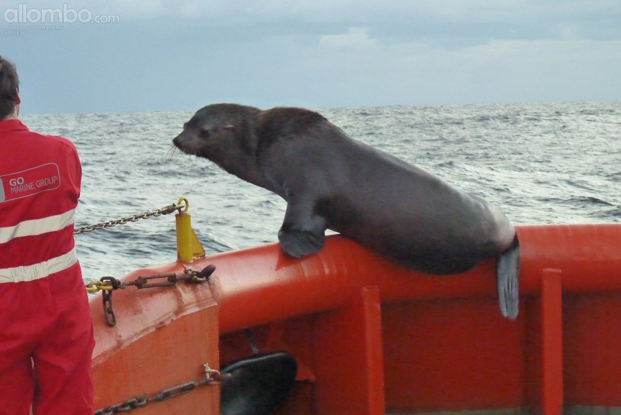 Social distancing at sea