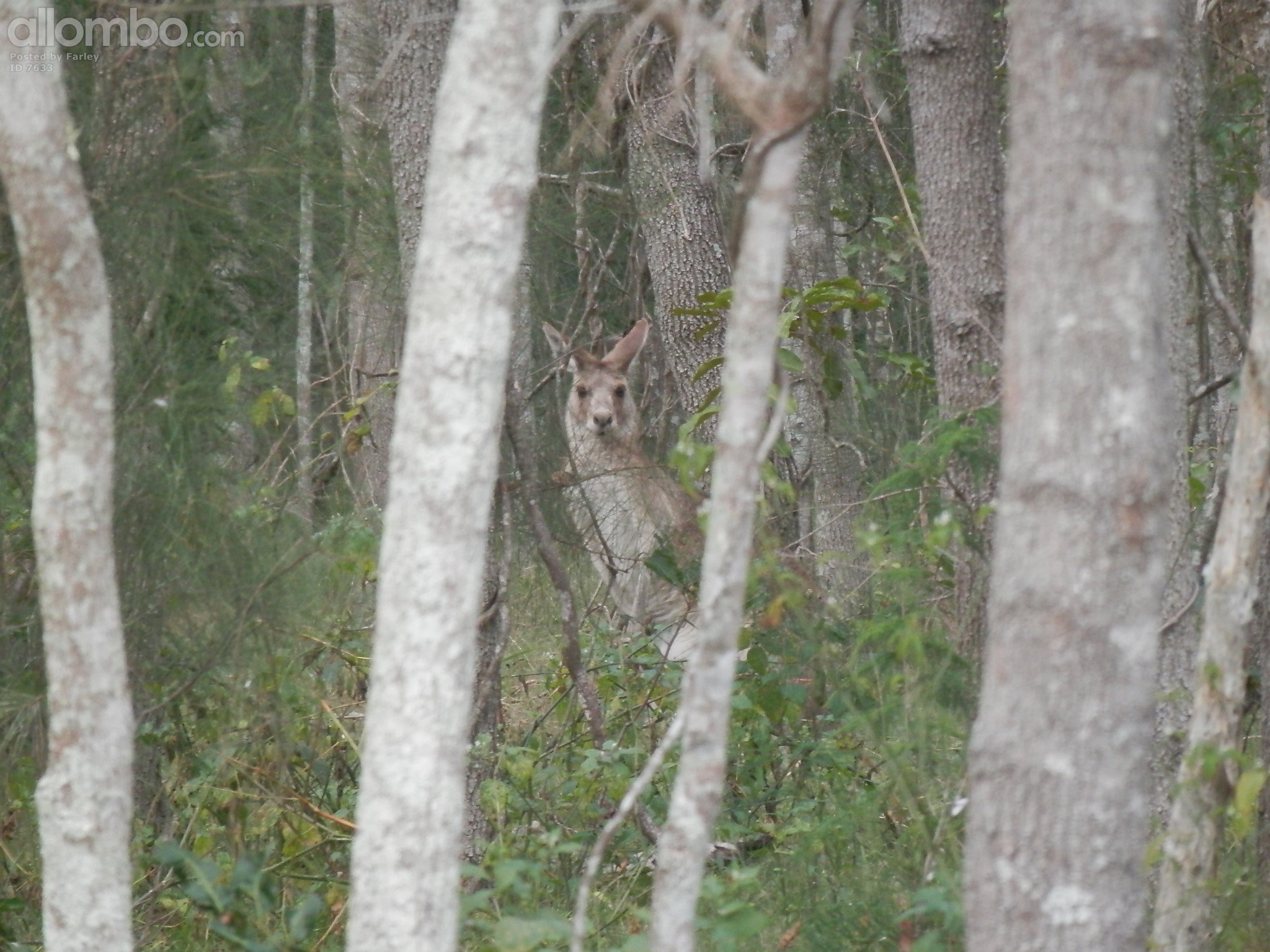 Ever get the feeling you're being watched?