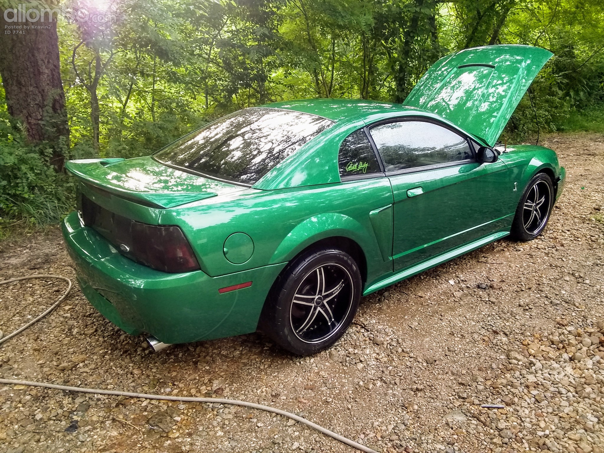 428 Cobra jet...Shelby cobra