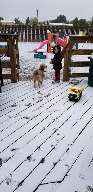 Grandson enjoying the outdoors with pet dog