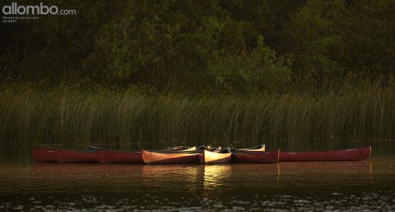 Canoes at golden hour