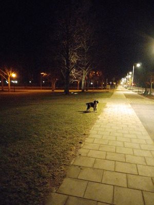 Me and Vito out doing night exercises  (-23 kg atm)