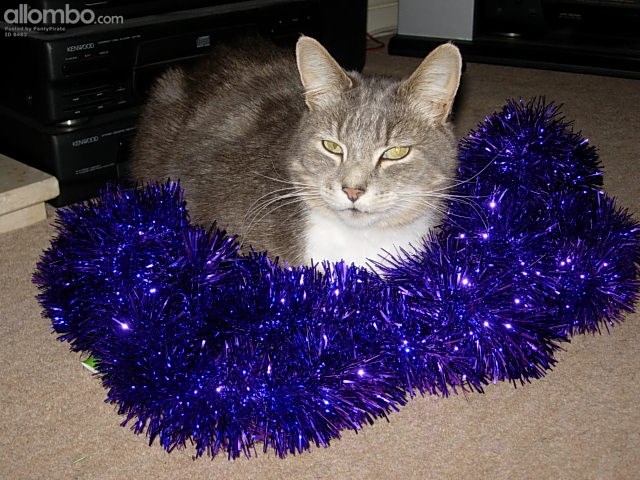 My old mate, much loved, much missed.