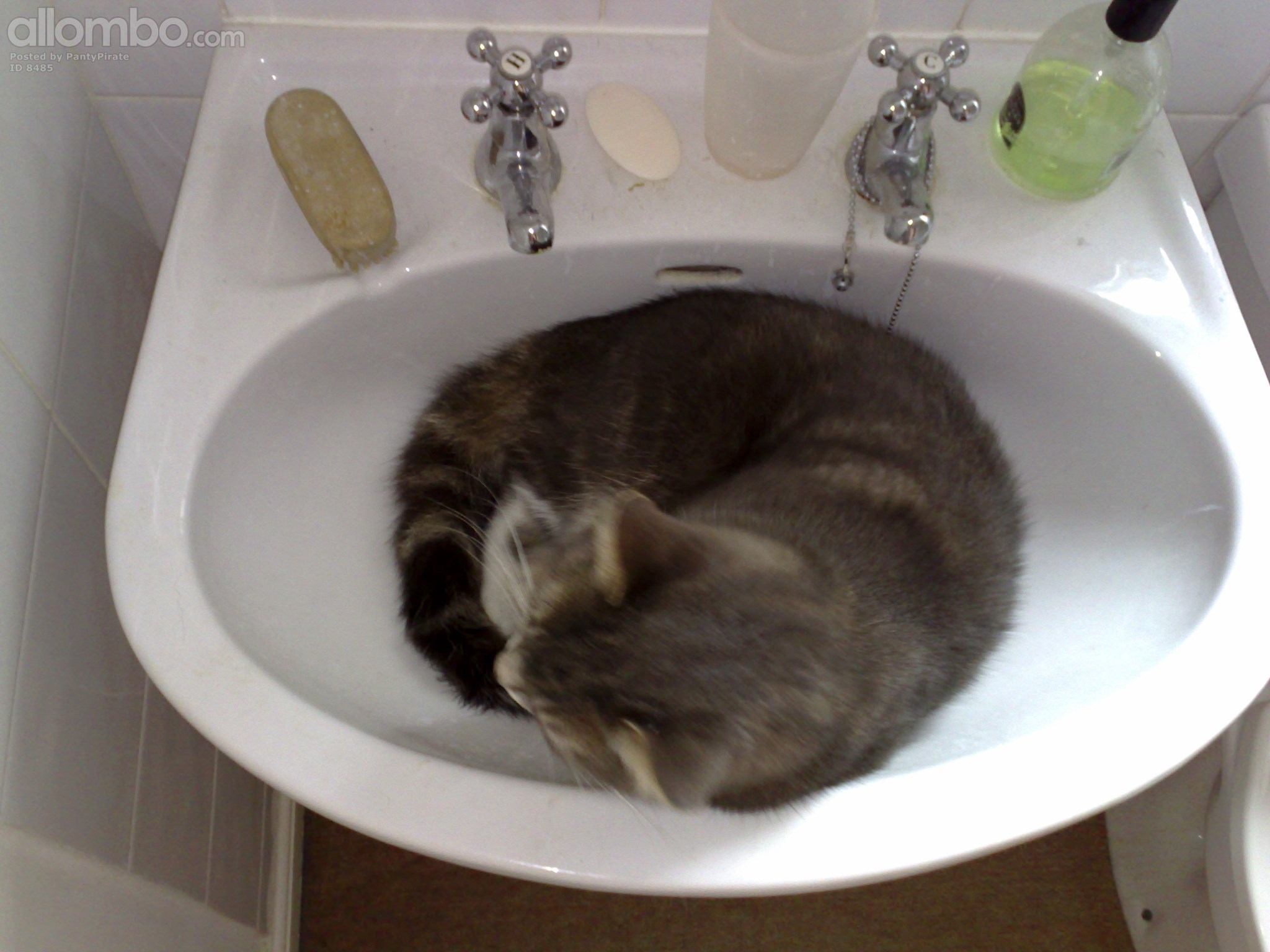 My old mate, much loved, much missed.