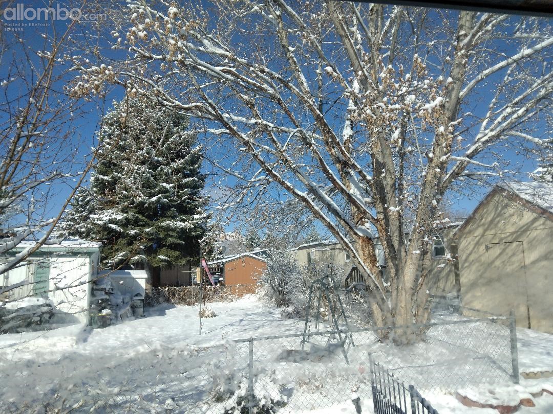 Snow. Anyone remember this white stuff ? LTNS.