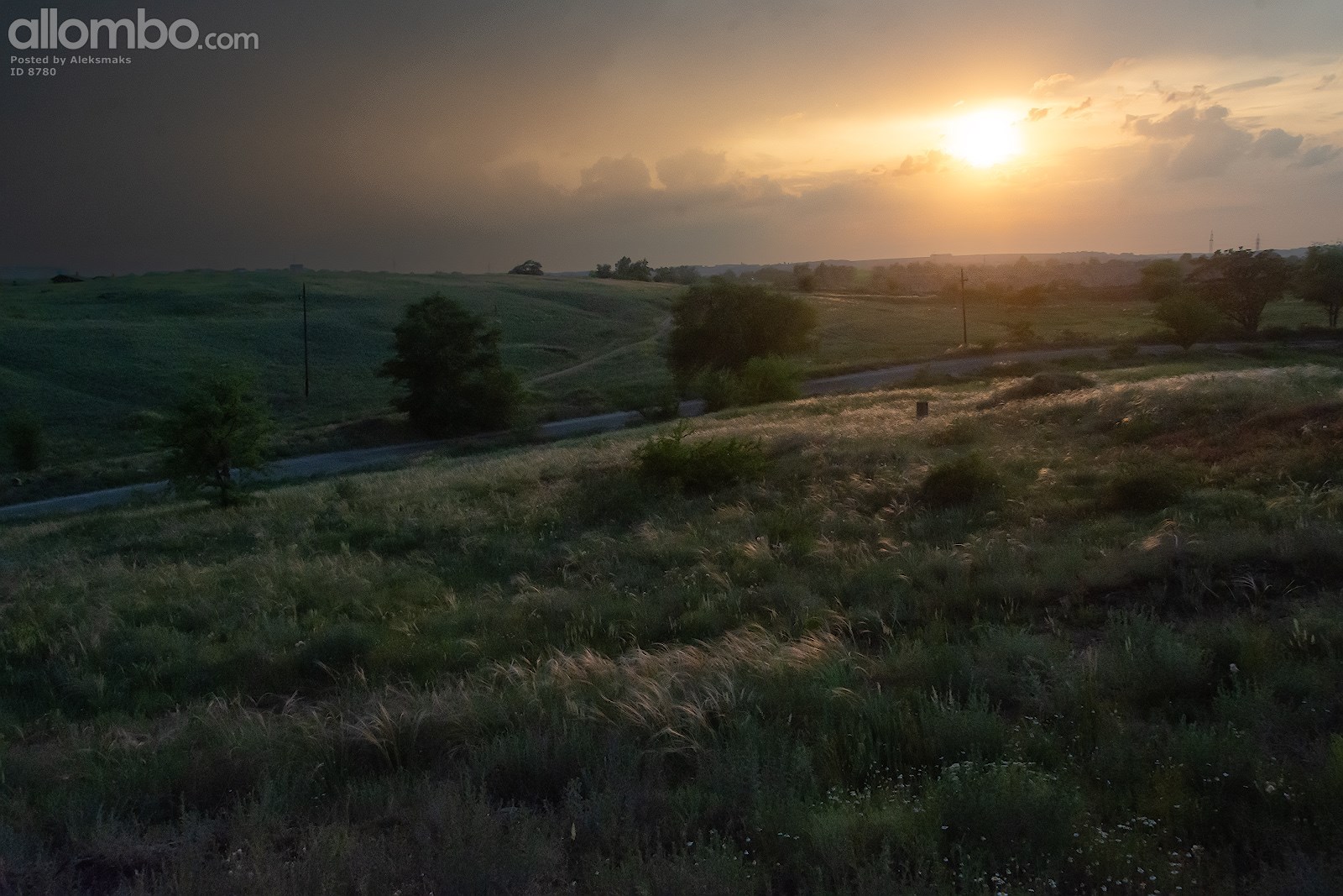Evening lighting in the field