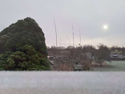 Good frosty morning 😁