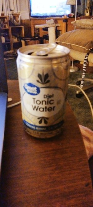Diet Tonic water because it tastes better than the normal one. I have one e...