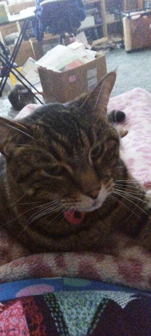 Harvey just staring March 2024.