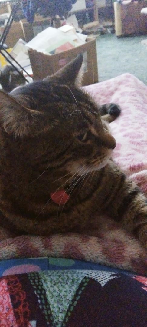 Hey You. Yes You - I've got my eye on you :)