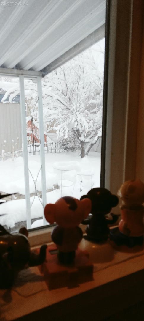 Picture from the kitchen window, amidst the snow storm 15/16/17 March 2024....