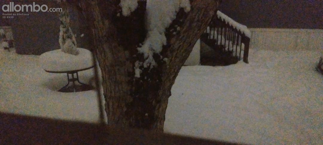 Snow storm 15/16/17 March 2024. 10" of snow. Neighbours picnic table.