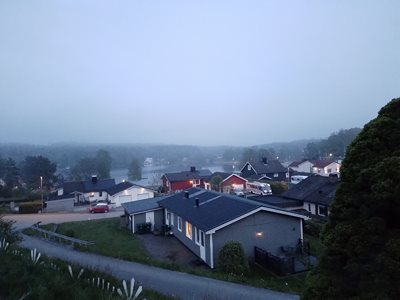 yesterdays fog telling us rain was coming...