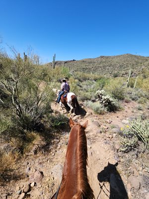 I recently had the opportunity to take a horse ride thru the Sonora Desert