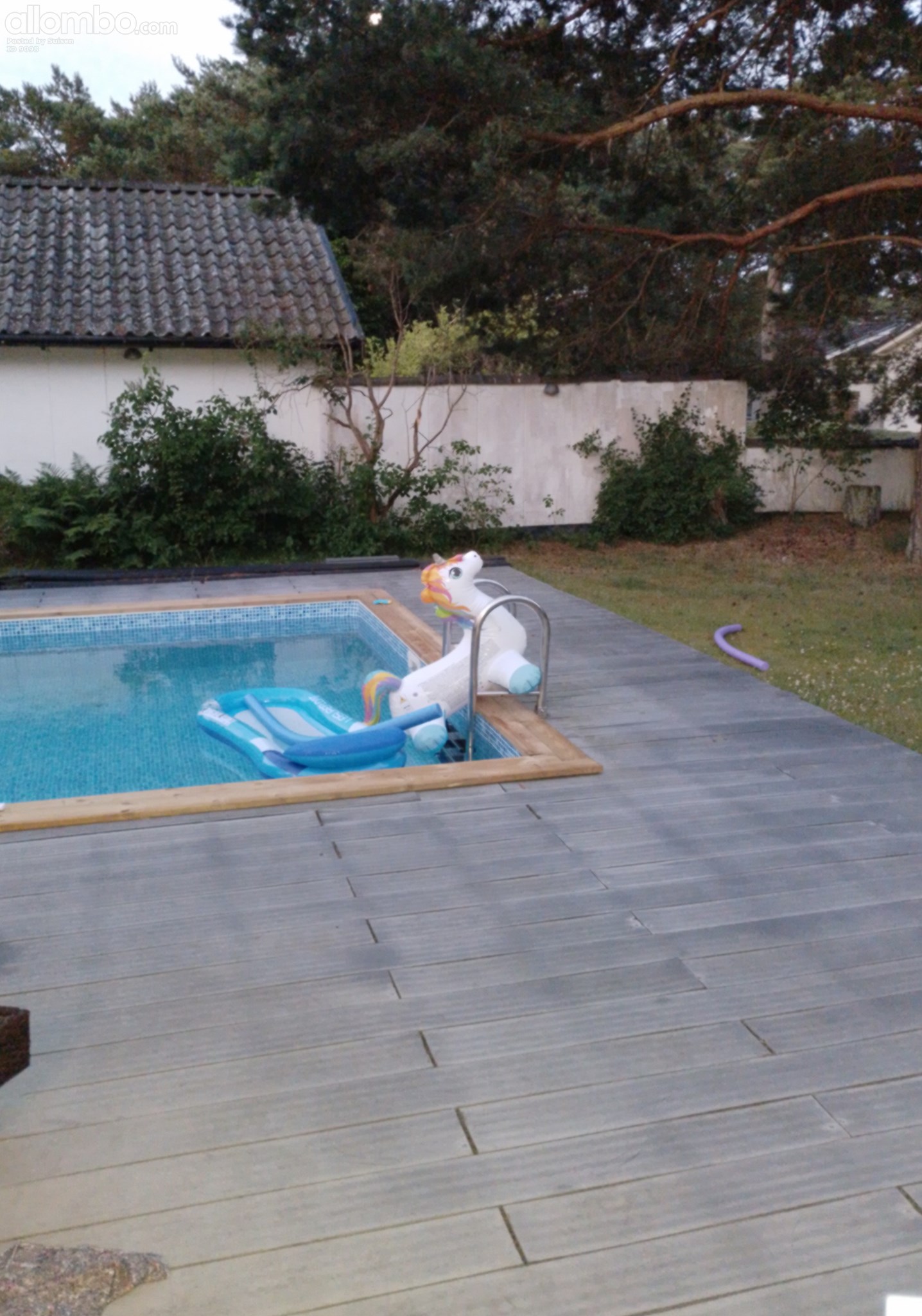 We got a new animal in da pool, we named her Belinda, in the early morning ...