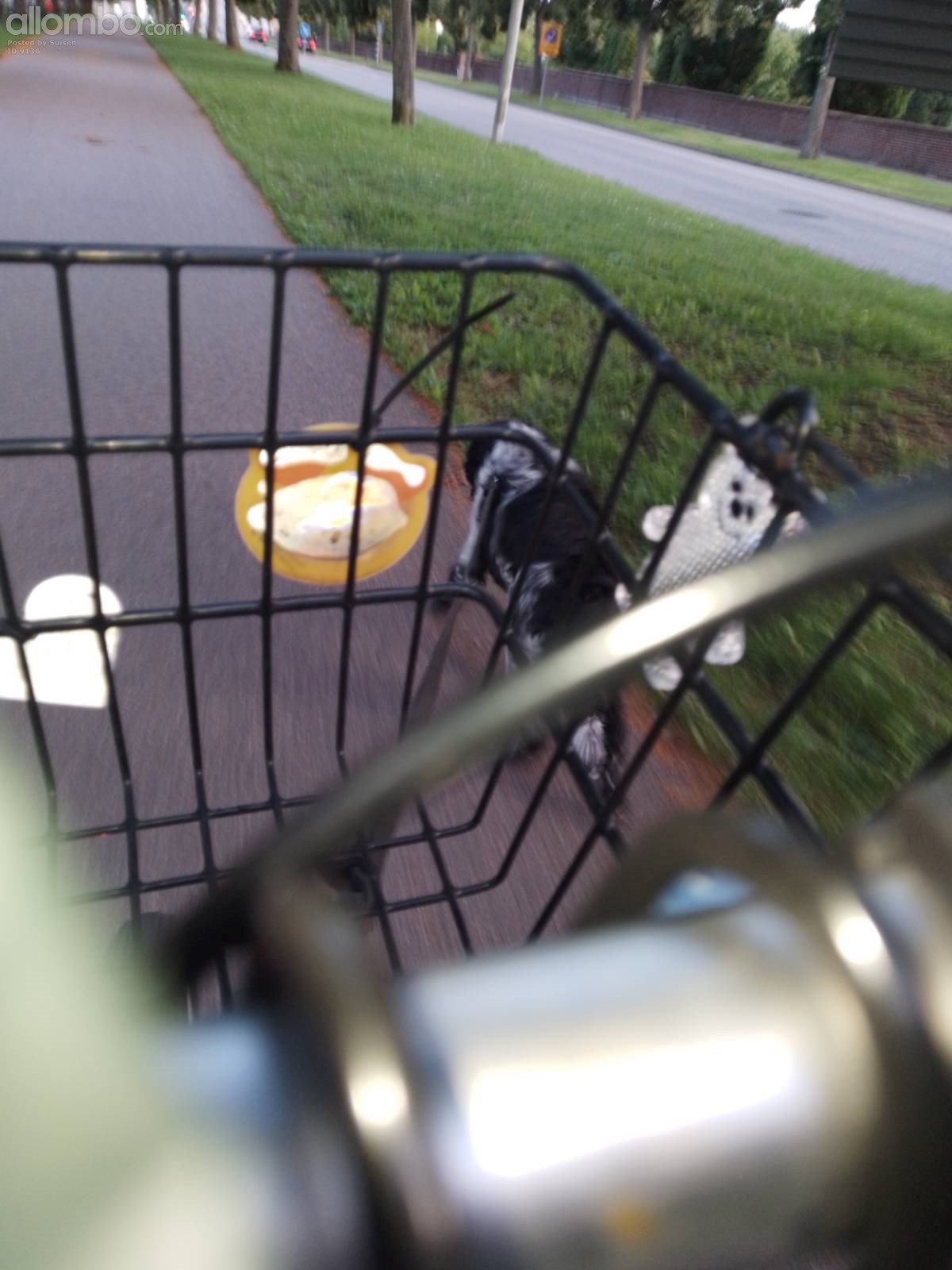 Bike ride action shot ☺️