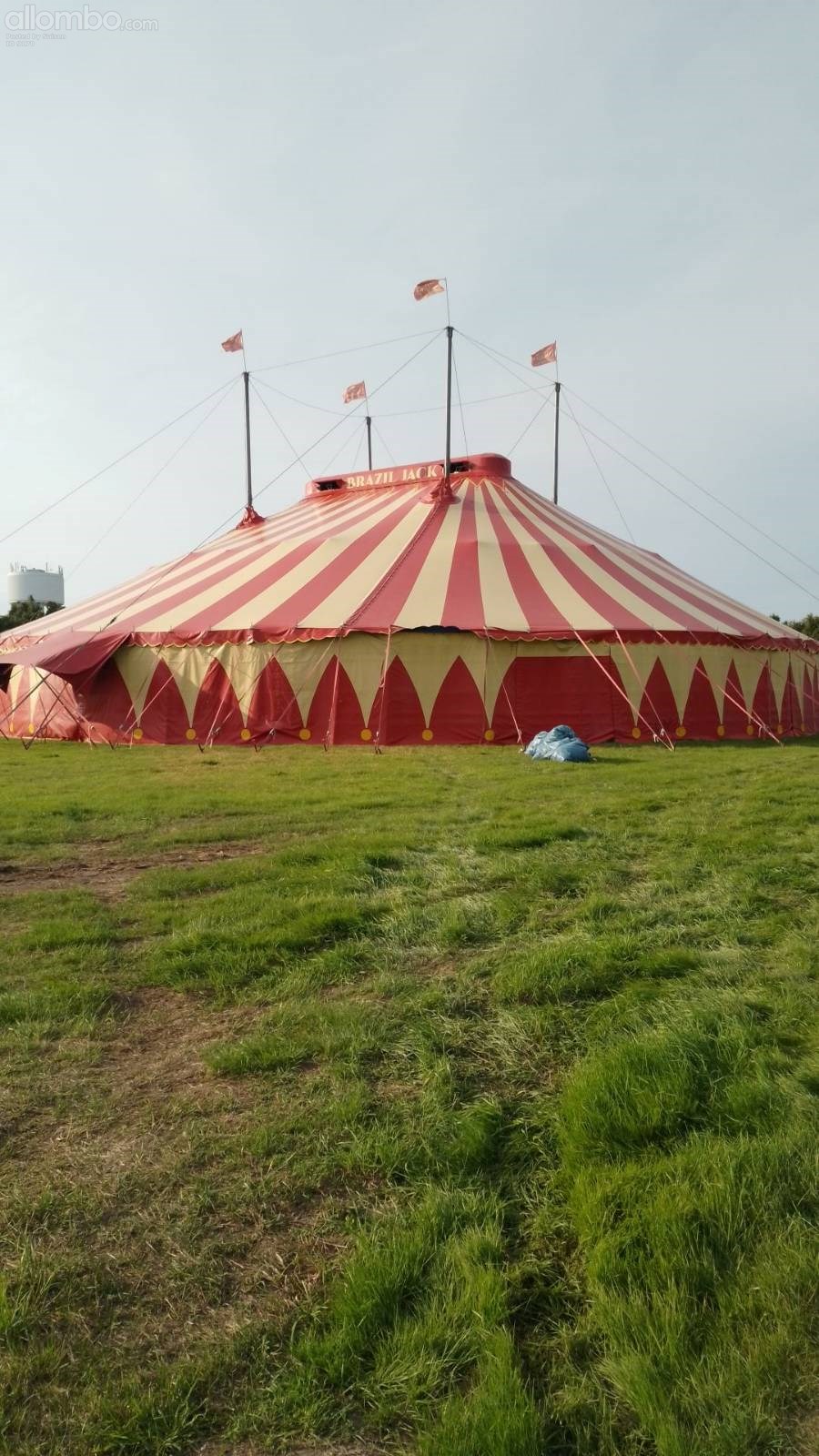 Circus in town...