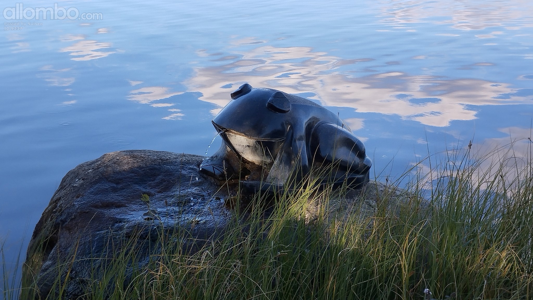 there's a frog in the lake