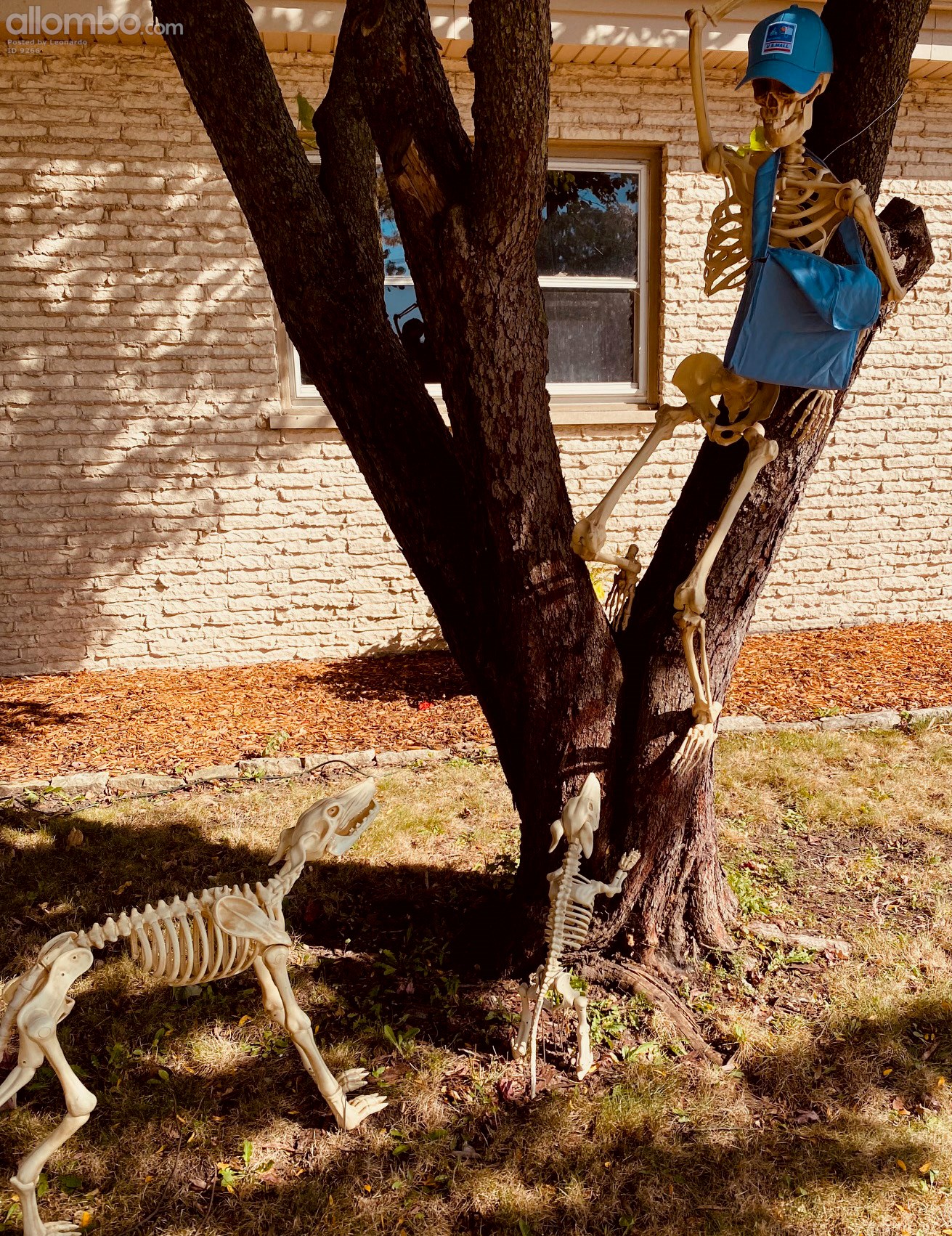 It Must Be Halloween Season 