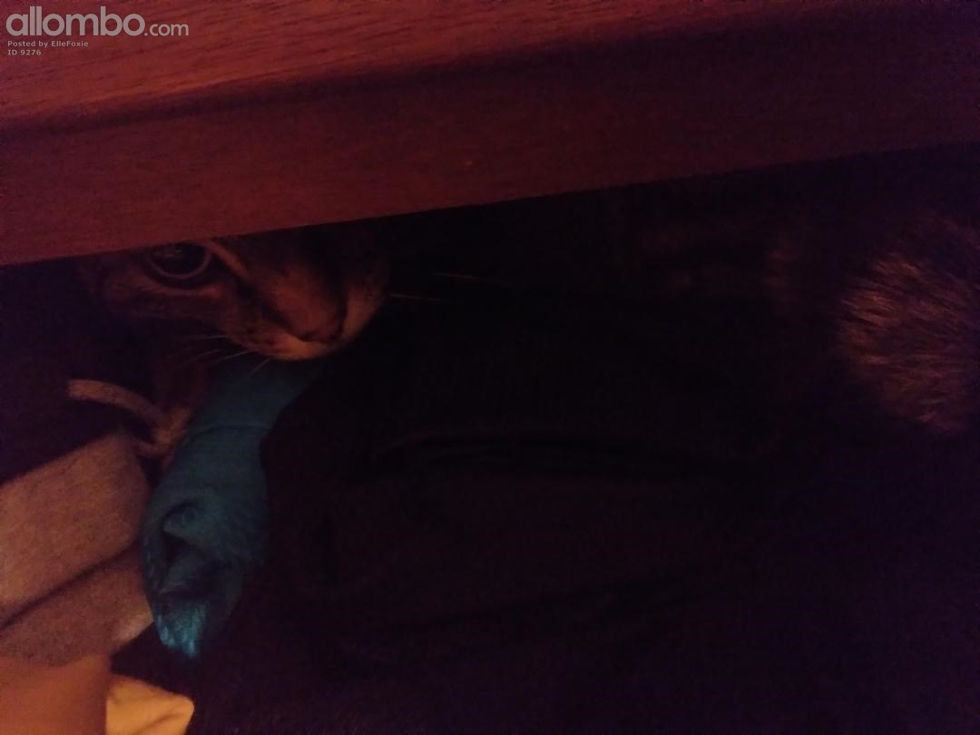 Can you see me? I want to be close to Mummy, so I am with her clothes they ...