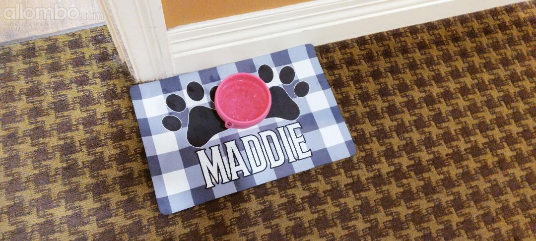 Maddies water bowl on her own mat, placed in the hallway of the Rehab centr...