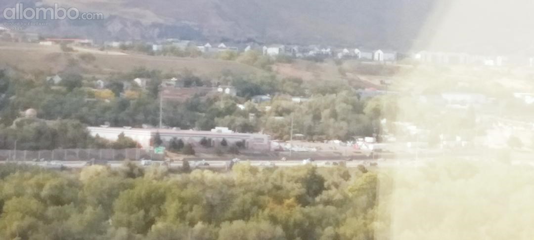 A view from my hospital bed.