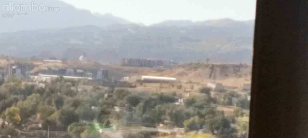 Another view from my hospital bed.