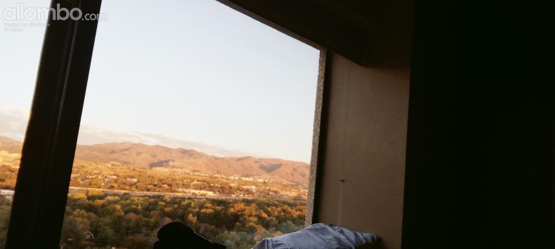 Other side of window attraction     lol From my hospital bed  :)