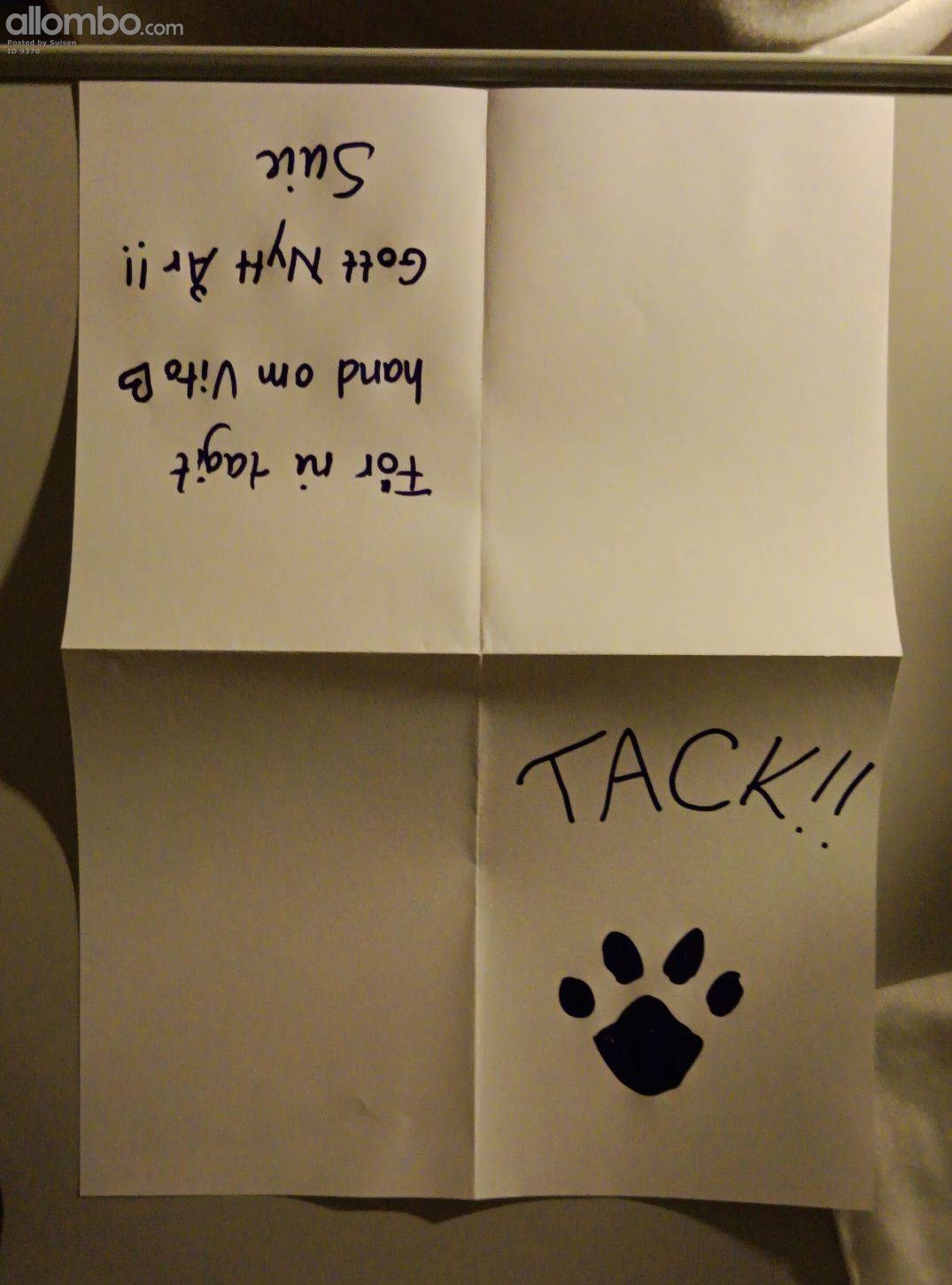 Thank you note to Vitos petsitter