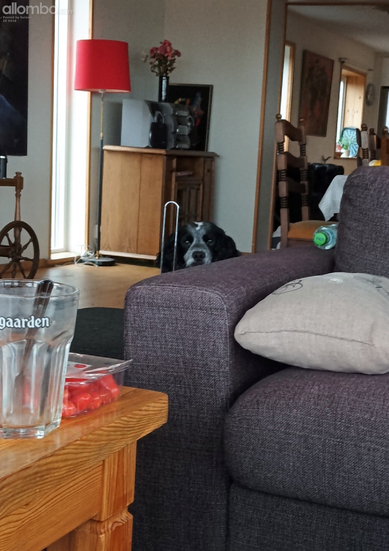 Me pretending to sweet talk one of Vitos toys 🤣