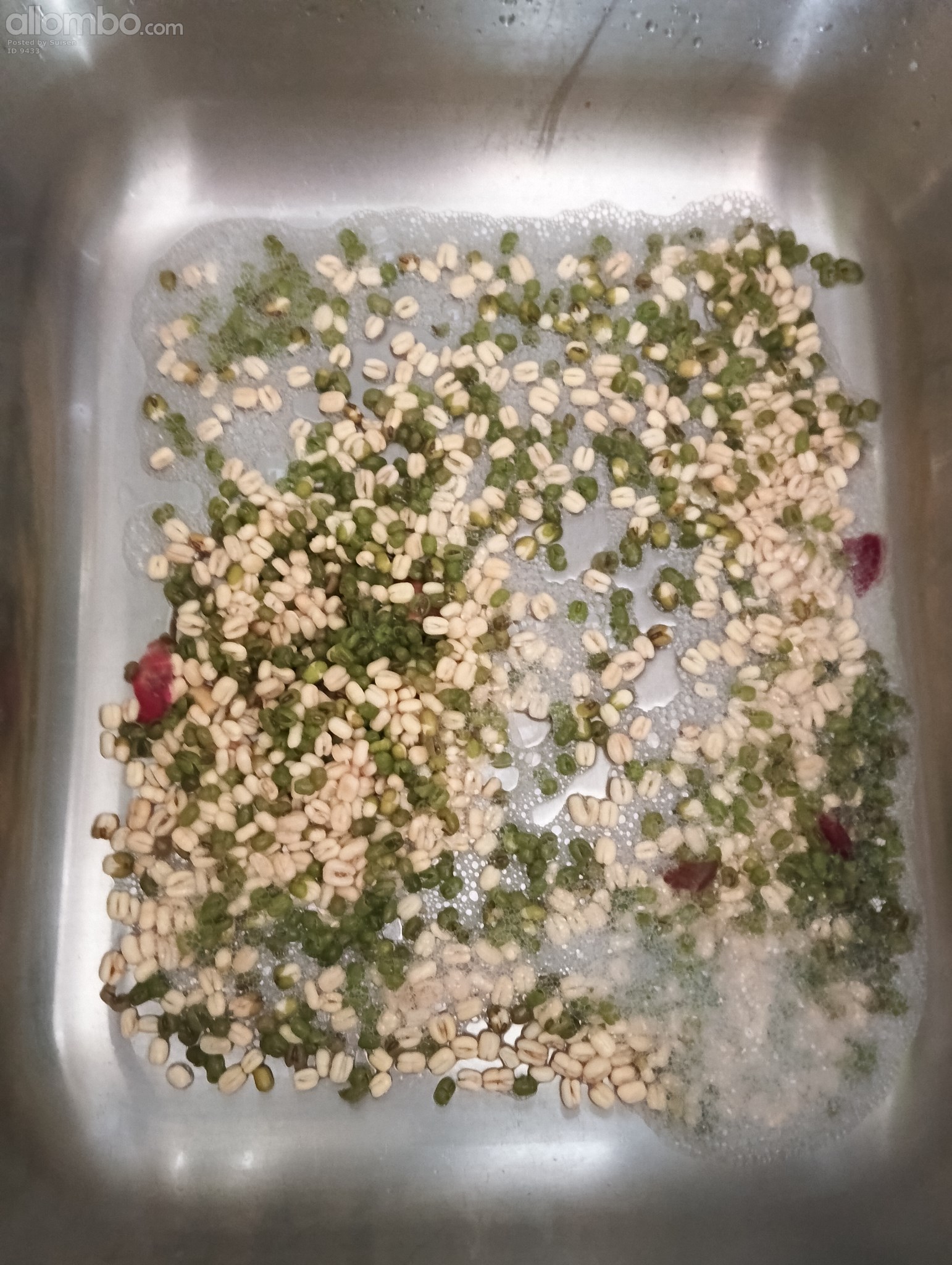 My failed try to grow sprouts from "mungbeans", so sad 🫤 